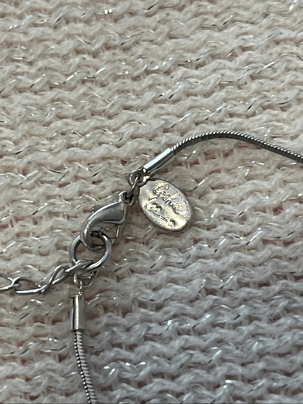 Cookie Lee Silvertone Thin Chain Necklace